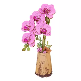 Rowood 3D fa puzzle virág - Orchidea