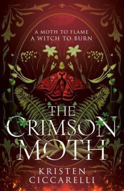 The Crimson Moth (Book 1 Hardback)