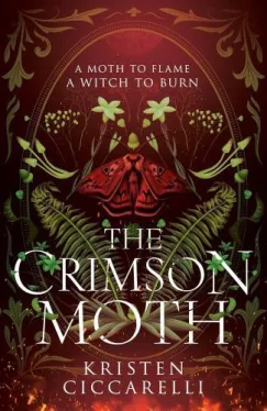 The Crimson Moth (Book 1)