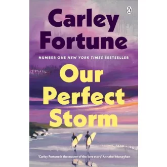 Carley Fortune - Our Perfect Storm