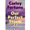 Carley Fortune - Our Perfect Storm