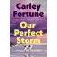 Carley Fortune - Our Perfect Storm