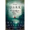 Rachel Gillig - One Dark Window (The Shepherd King Series, Book 1)