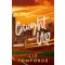 Caught Up (Windy City Series, Book 3)