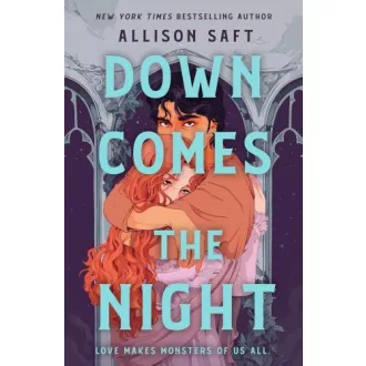 Down Comes the Night