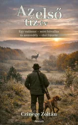Czinege Zoltán - Az első tíz év