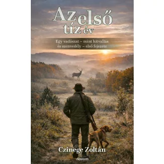 Czinege Zoltán - Az első tíz év
