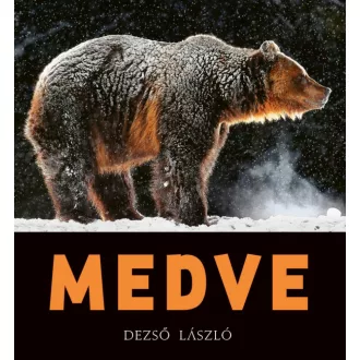 Medve