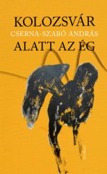 Kolozsvár alatt az ég