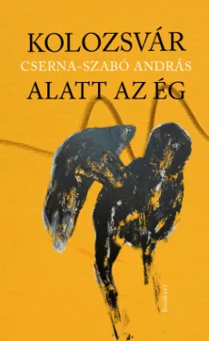 Kolozsvár alatt az ég