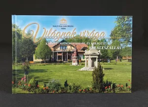 Világnak virága