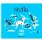 Stella - Tudok 120 angol szót - Évszakok
