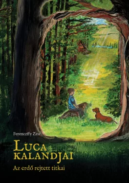 Ferenczffy Zita - Luca kalandjai - Az erdő rejtett titkai