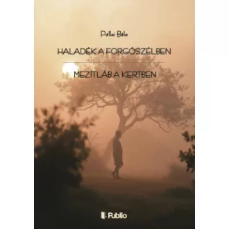 Pállai Béla - Haladék a forgószélben