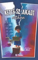 Antológia 2025/2. - Kettészakadt otthon