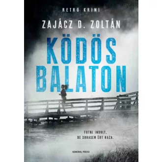 Zajácz D. Zoltán - Ködös Balaton