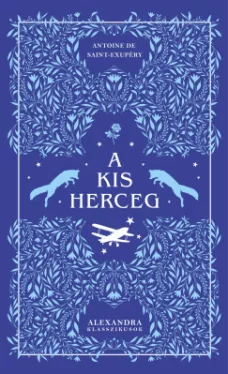 Antoine De Saint-Exupéry - A kis herceg