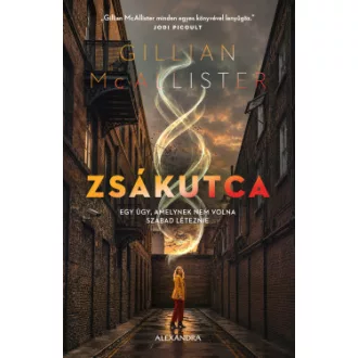 Gillian McAllister - Zsákutca