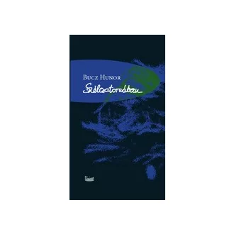Szélcsatornában