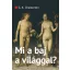 Mi a baj a világgal?