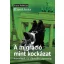A migráció mint kockázat