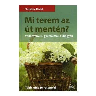   Mi terem az út mentén? - Vadnövények, gyümölcsök és bogyók