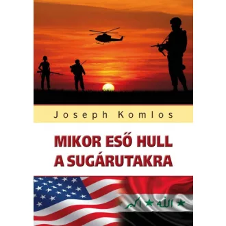 Mikor eső hull a sugárutakra