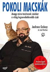   Pokoli macskák - Avagy mire tanítanak bennünket a világ legneveletlenebb cicái