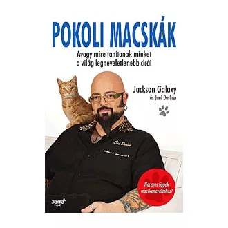   Pokoli macskák - Avagy mire tanítanak bennünket a világ legneveletlenebb cicái
