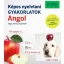 PONS Képes nyelvtani gyakorlatok - Angol