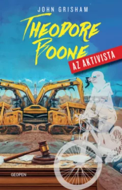 Theodore Boone - Az aktivista*