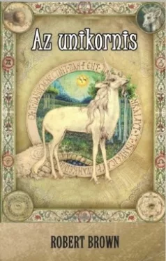 Az unikornis