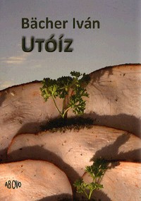 Utóíz
