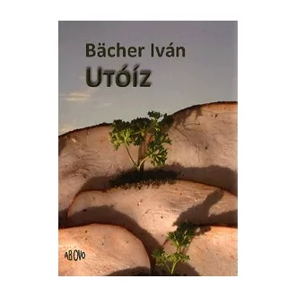 Utóíz