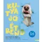 Kutya jó étrend