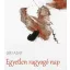 Egyetlen ragyogó nap