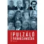 Pulzáló párhuzamosok