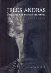 ahogy seb néz a távozó szuronyra