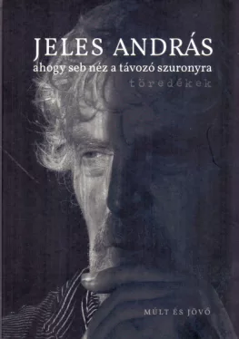 ahogy seb néz a távozó szuronyra