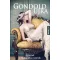 Gondold újra - A jövőnk a múltunkban rejtőzik