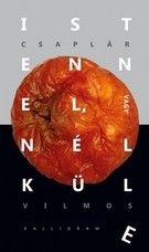 Istennel, vagy nélküle - Gondolatok a reflektív evolúcióról