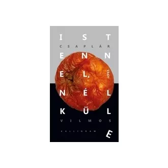   Istennel, vagy nélküle - Gondolatok a reflektív evolúcióról
