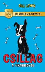 Csillag a Viharhegyen - Blökiakadémia