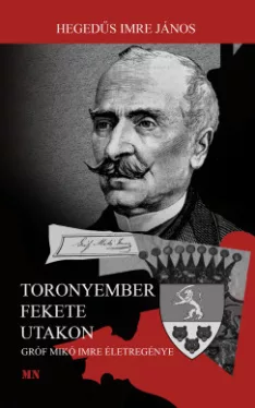 Toronyember fekete utakon