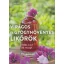 Virágos és gyógynövényes likőrök