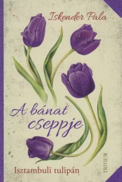 A bánat cseppje - Isztambuli tulipán