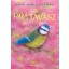 Dalol a tavasz - Dalok minden évszakra