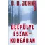 Beépülve Észak-Koreában