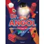 Dr. Angol - Hasznos segítség az angol nyelv tanulásához - 6-14 éves gyerekeknek