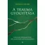 A trauma gyógyítása - Gyakorlati program tested bölcsességének újrafelfedezéséhez